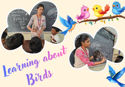 The students of Class 2 participated in an interactive, hands-on learning activity today where they had the unique opportunity to observe a real bird.